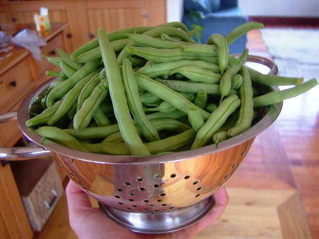 Green beans