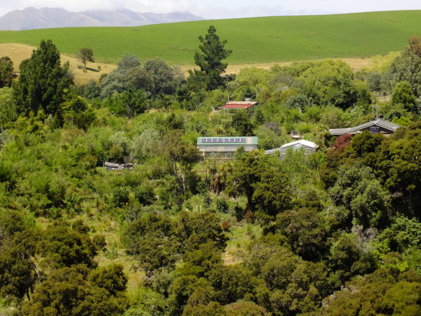 food forest - gardening the permaculture way