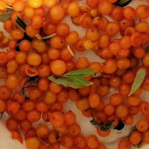 48141_sea-buckthorn-berries